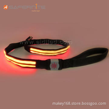 Bright Light Safety Glow Dog Collar Leash